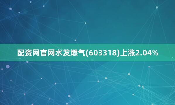 配资网官网水发燃气(603318)上涨2.04%