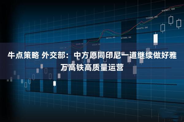 牛点策略 外交部：中方愿同印尼一道继续做好雅万高铁高质量运营