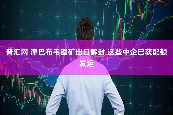 普汇网 津巴布韦锂矿出口解封 这些中企已获配额发运