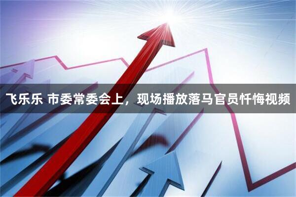 飞乐乐 市委常委会上，现场播放落马官员忏悔视频