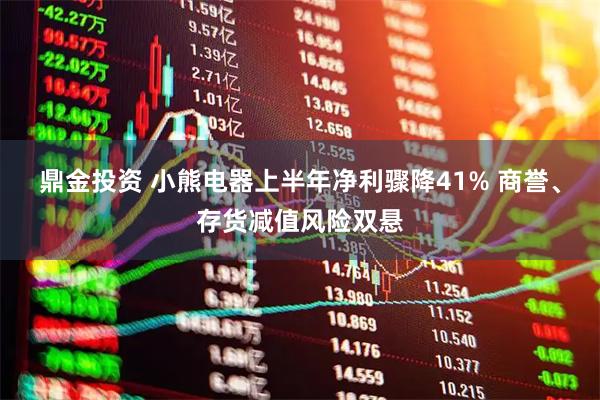 鼎金投资 小熊电器上半年净利骤降41% 商誉、存货减值风险双悬